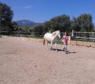 guiando al caballo